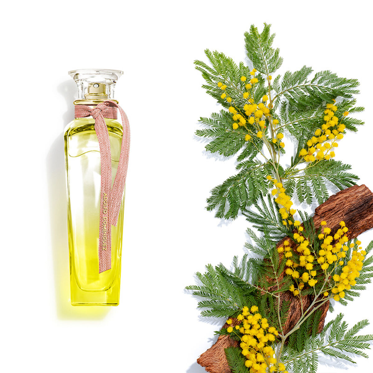 Perfume Adolfo Dominguez Agua Fresca Mimosa Coriandro EDT 120 ml