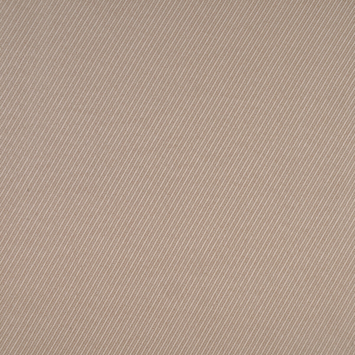 Cortina Mashini Raye 140 X 220 cm