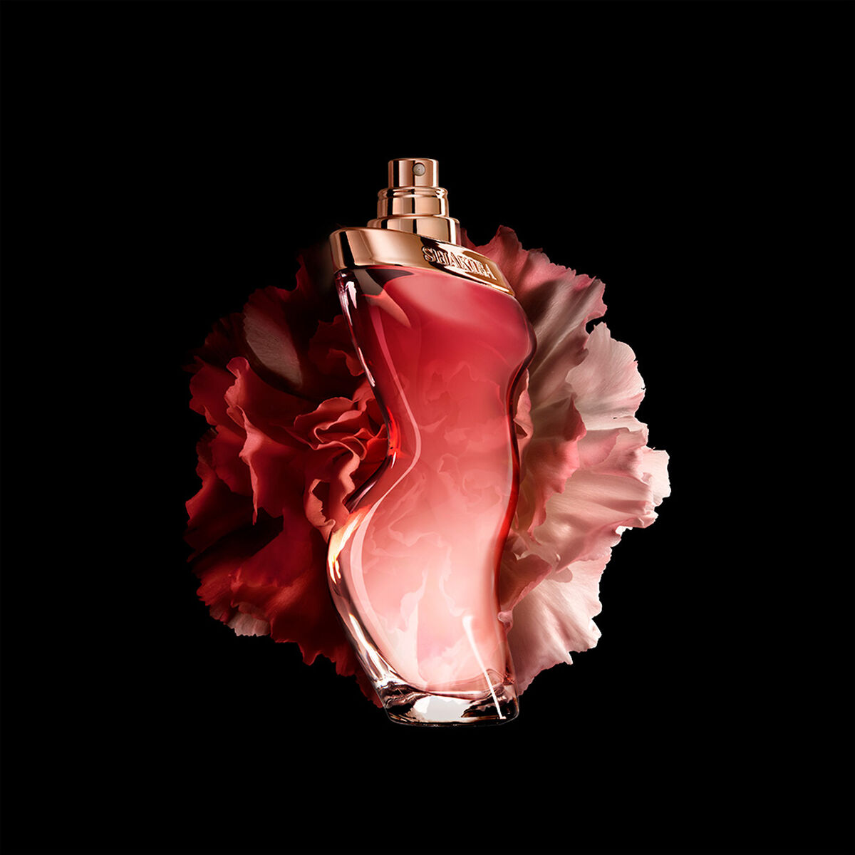 Perfume Shakira Dance Midnight Re 2022 EDT 50 ml